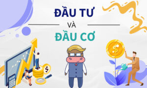 Sự khác nhau giữa "Đầu tư" và "Đầu cơ" trong kinh doanh